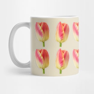 Tulipa 'Candy Corner' Triumph Tulip Mug